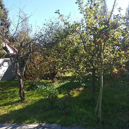 Dom Mazury Apartman